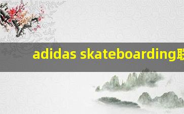 adidas skateboarding联名